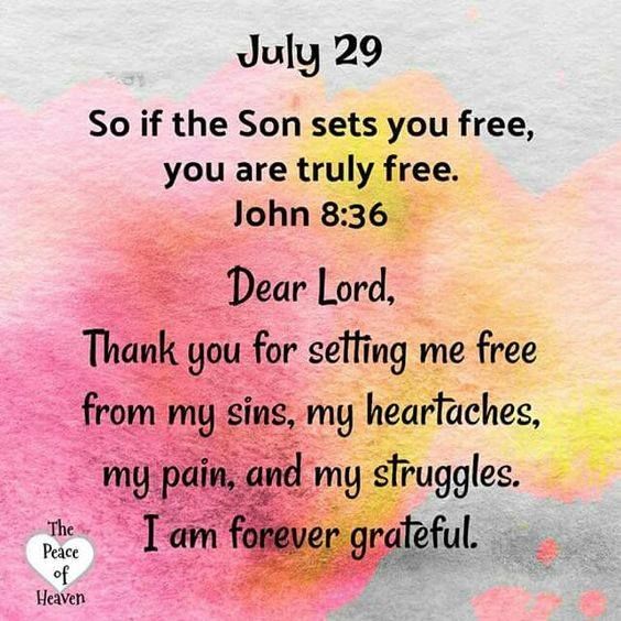 July 29 Blessings For You. So, if the Son sets you free, you are truly free.