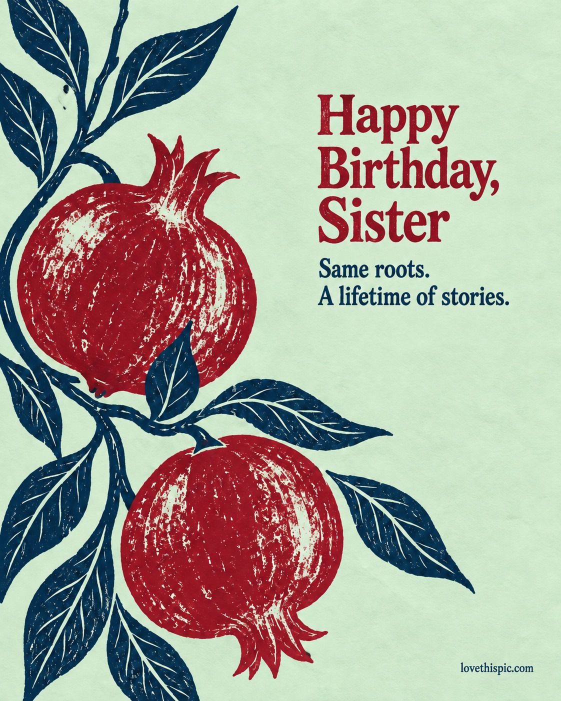 Happy Birthday Sister Same Roots A Lifetime Of Stories Pomegranates