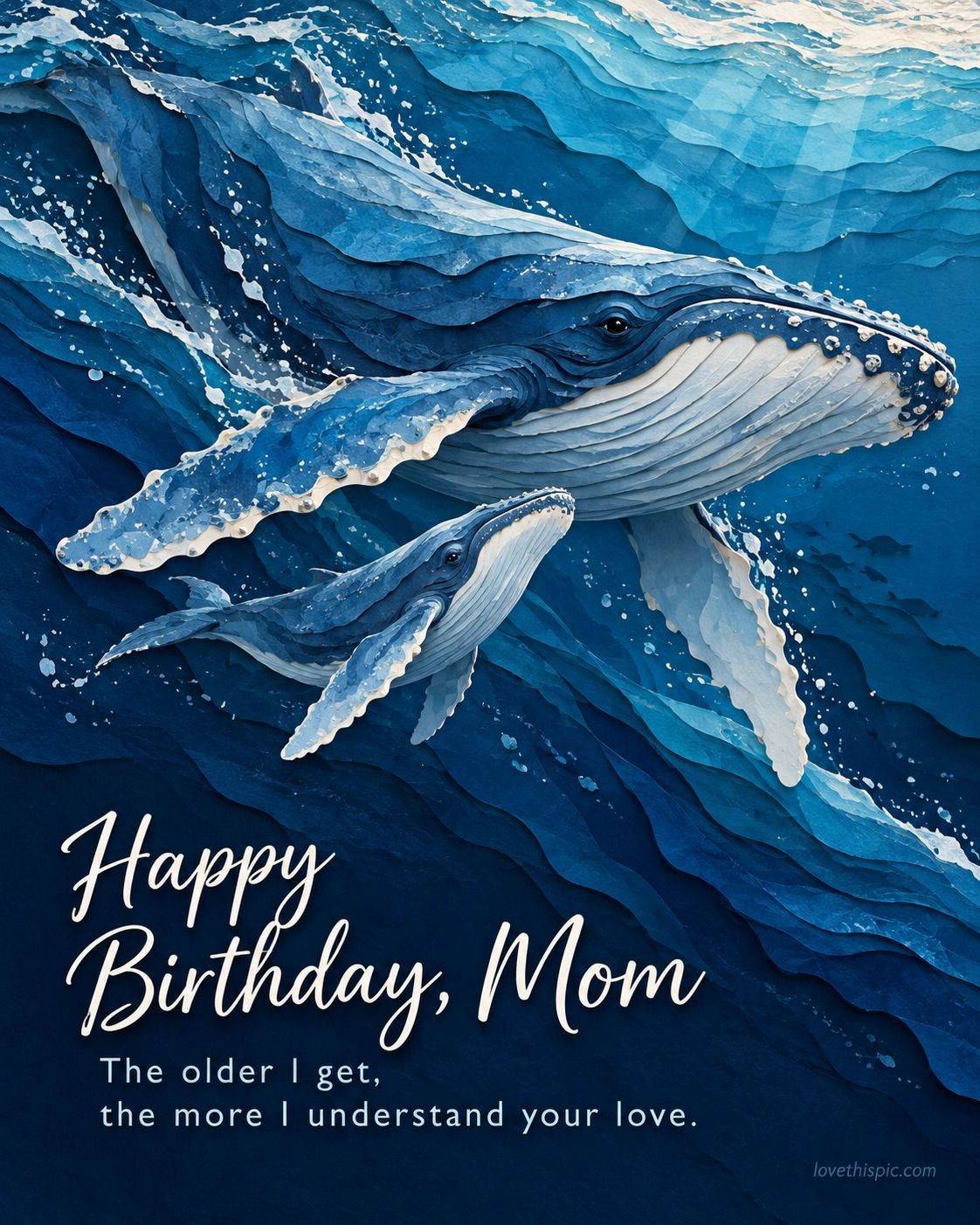 Happy Birthday Mom The Older I Get The More I Understand Your Love Whale