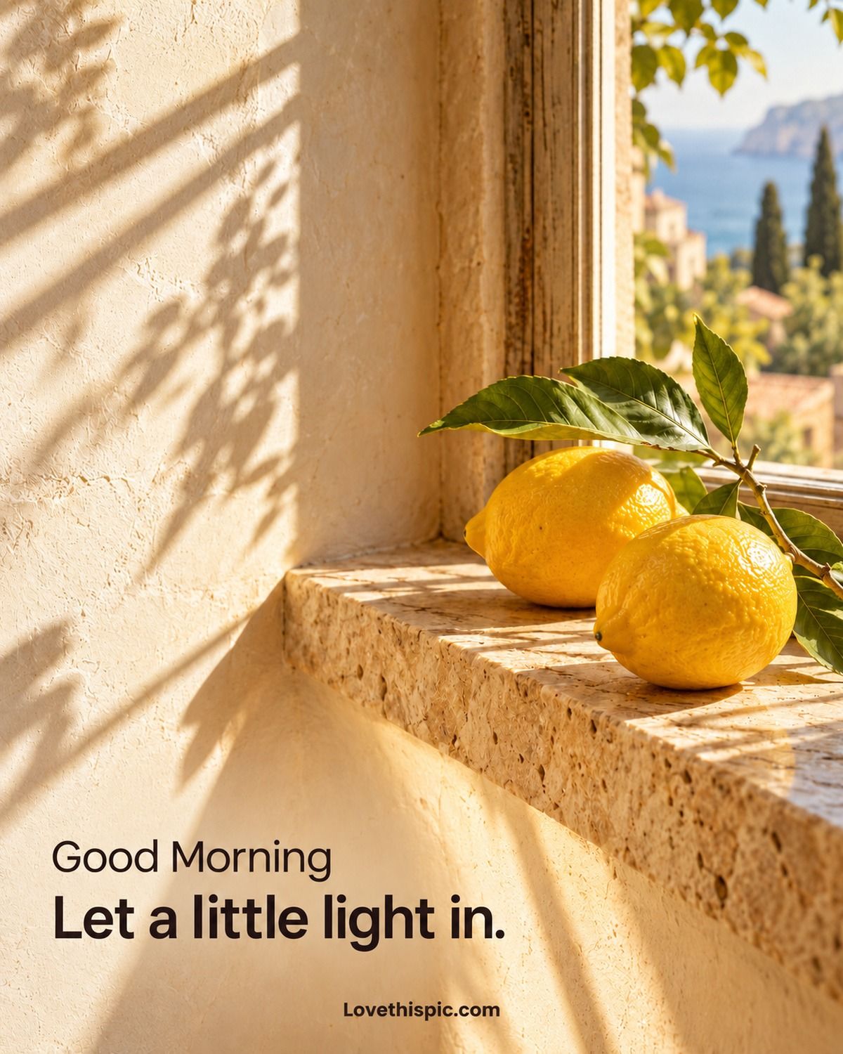 Good Morning Let A Little Light In Sunlit Lemons