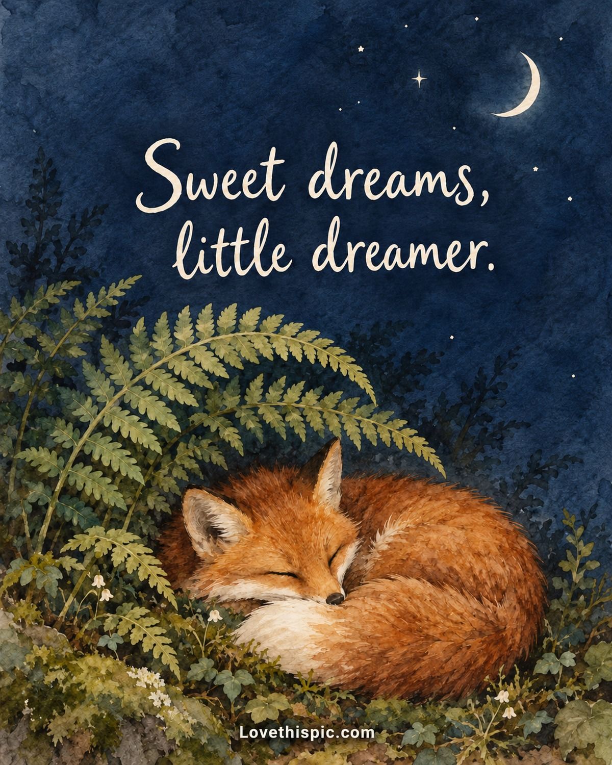 Sweet Dreams Little Dreamer Sleeping Fox Under The Moon