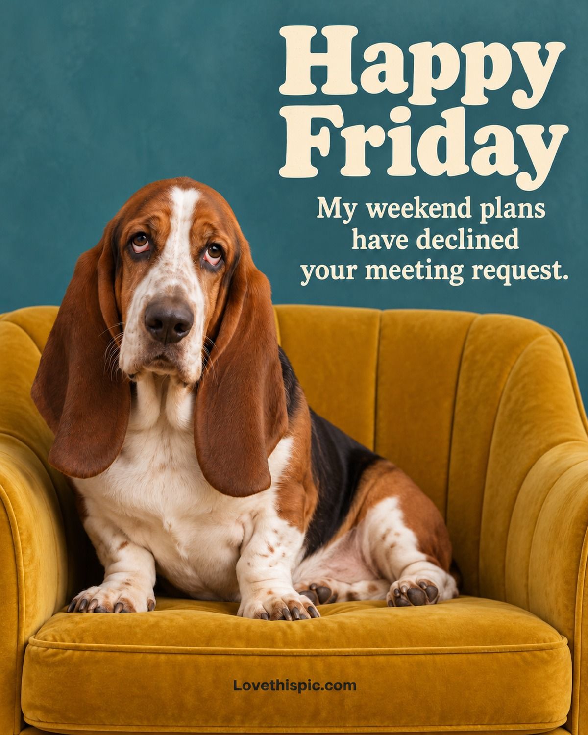 Happy Friday My Weekend Plans Have Declined Your Meeting Request Basset Hound