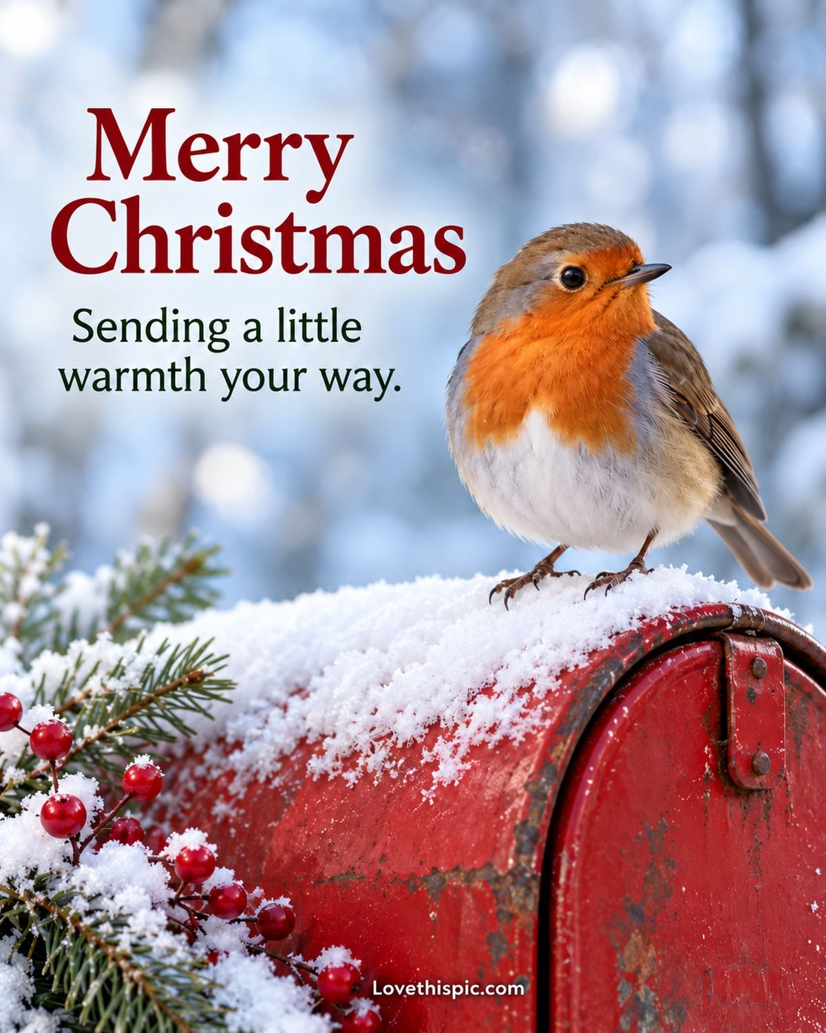 Merry Christmas Sending A Little Warmth Your Way Robin On A Mailbox