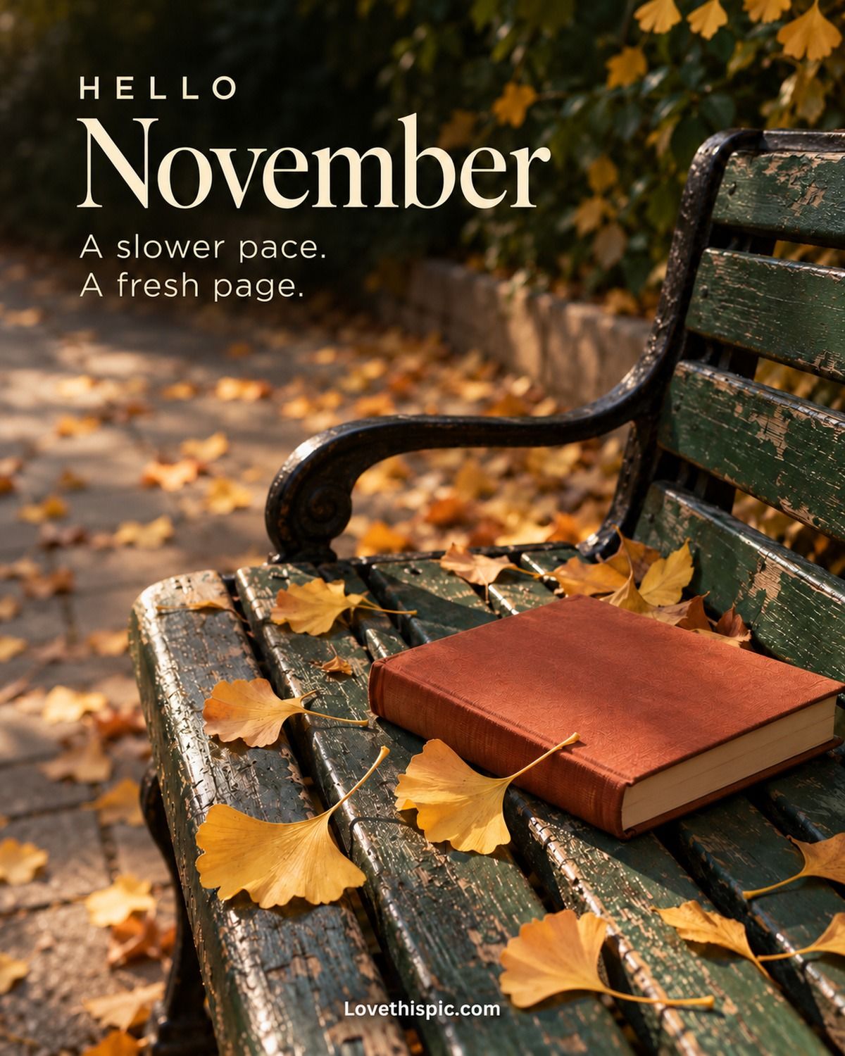 Hello November A Slower Pace A Fresh Page Autumn Bench