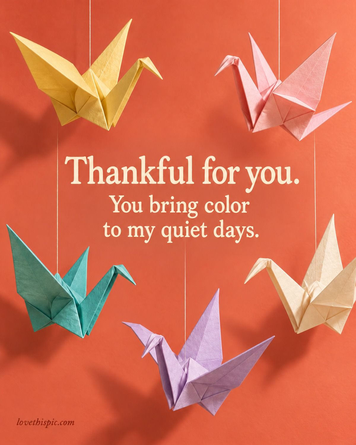 Thankful For You You Bring Color To My Quiet Days Origami Cranes