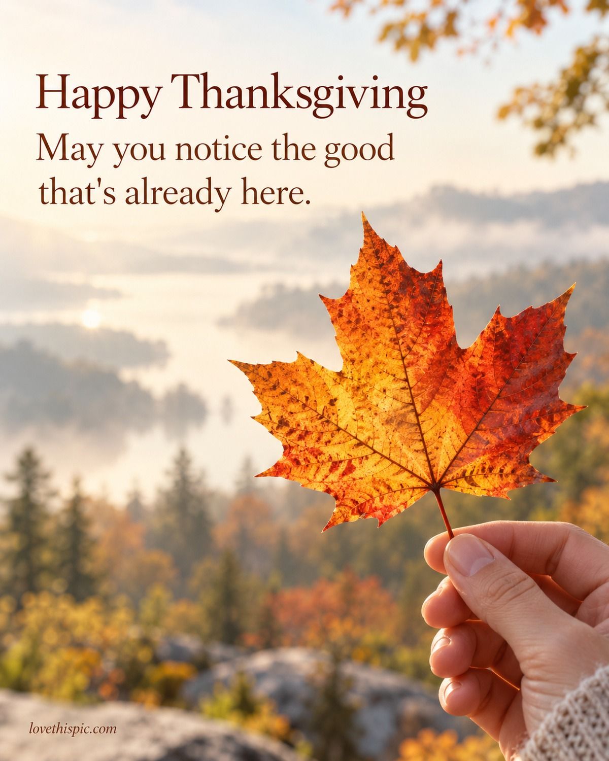 Happy Thanksgiving May You Notice The Good That's Already Here Maple Leaf