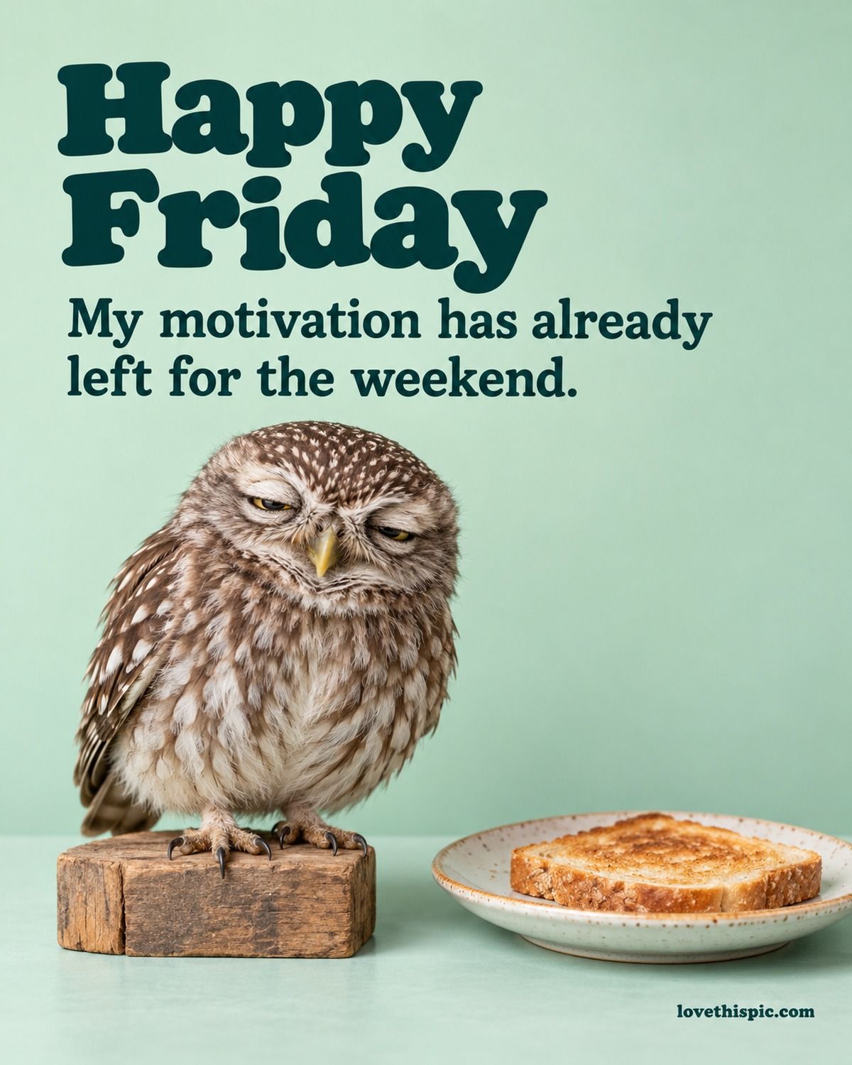 Happy Friday My Motivation Has Already Left For The Weekend Sleepy Owl