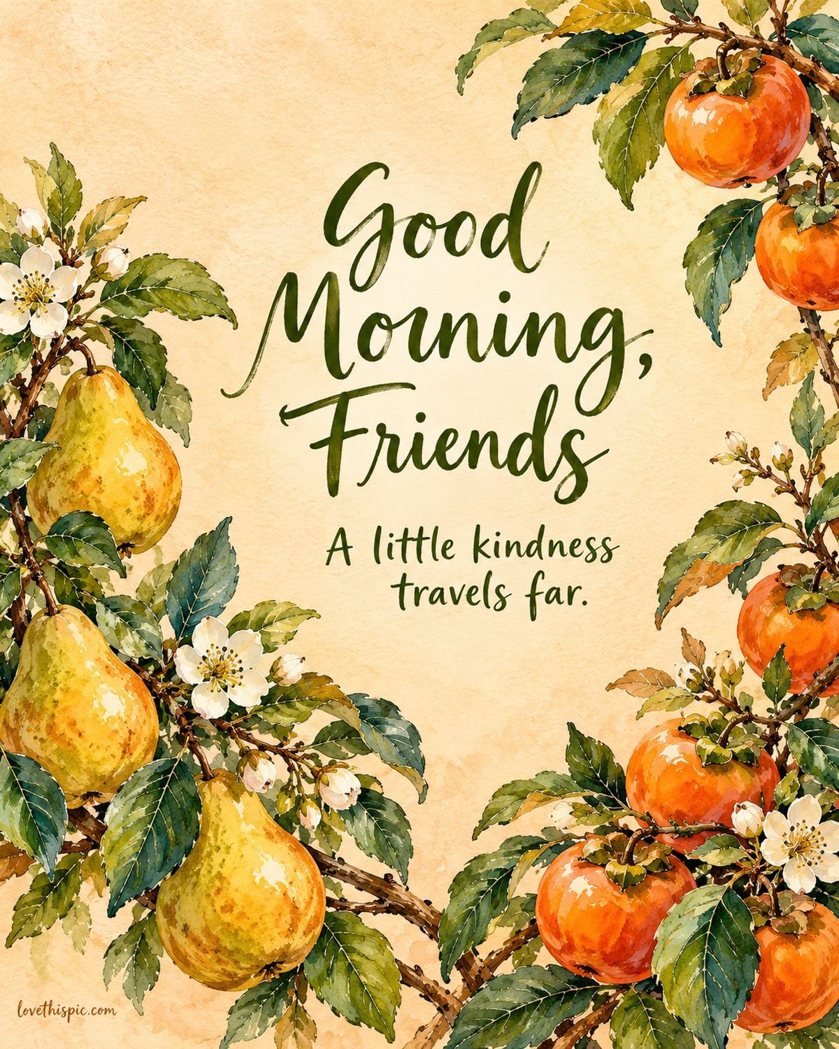 Good Morning Friends A Little Kindness Travels Far Pears And Persimmons