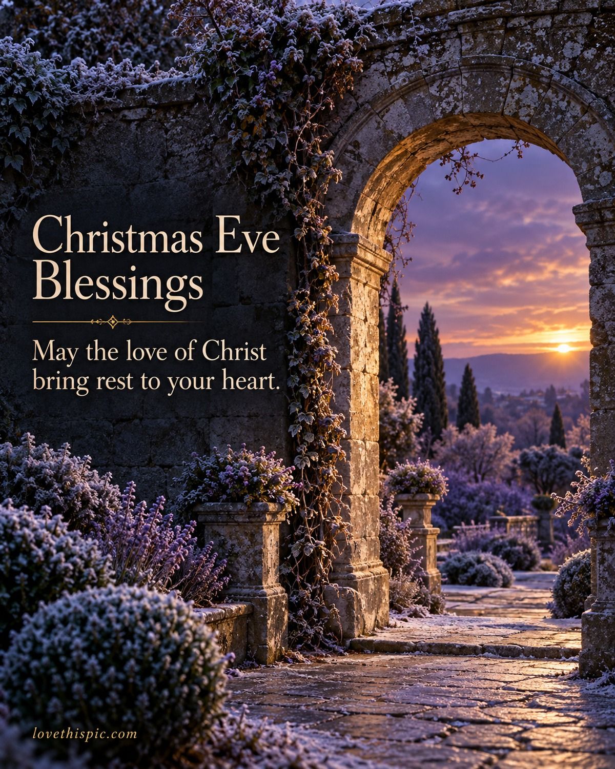 Christmas Eve Blessings May The Love Of Christ Bring Rest To Your Heart