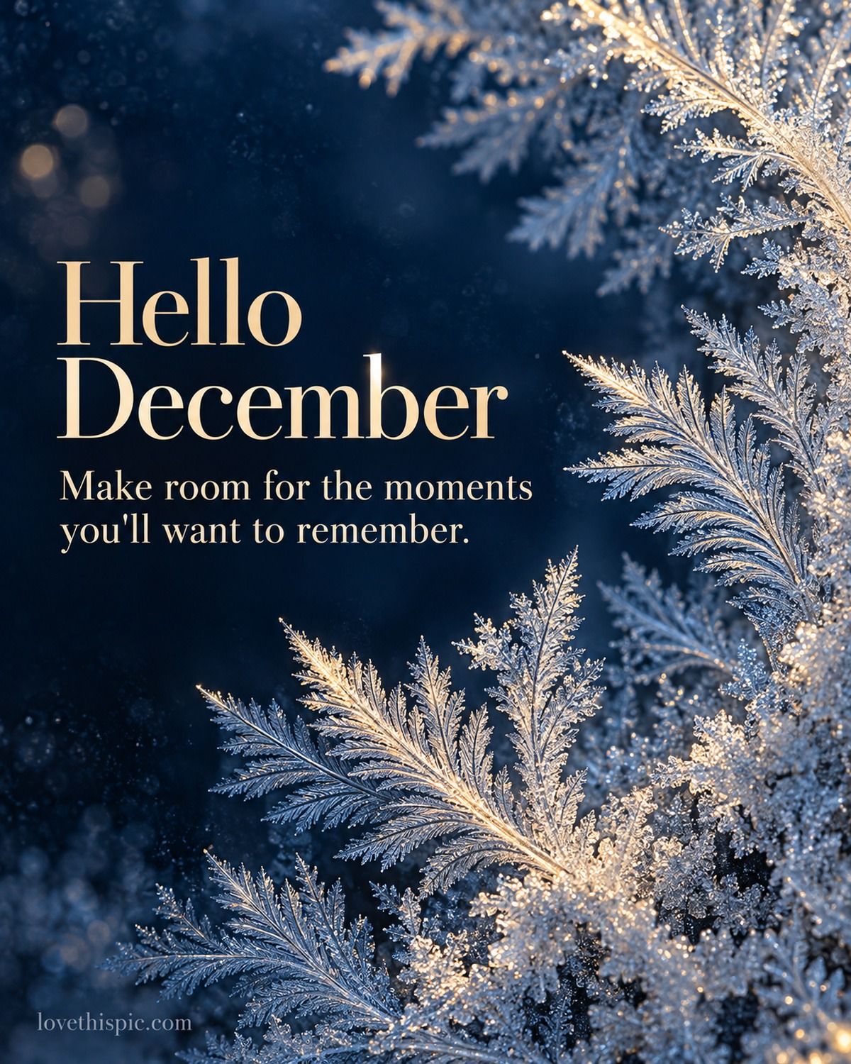 Hello December Make Room For The Moments You'll Want To Remember Frost