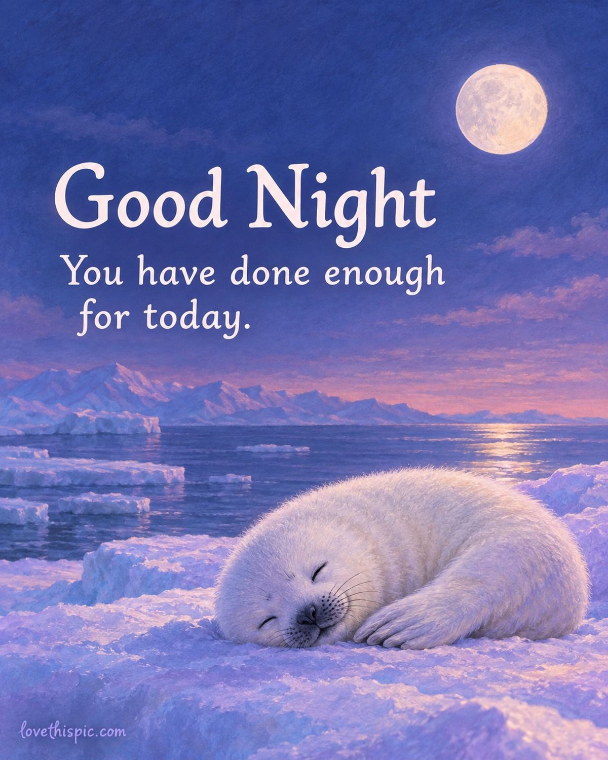 Good Night You Have Done Enough For Today Sleeping Seal