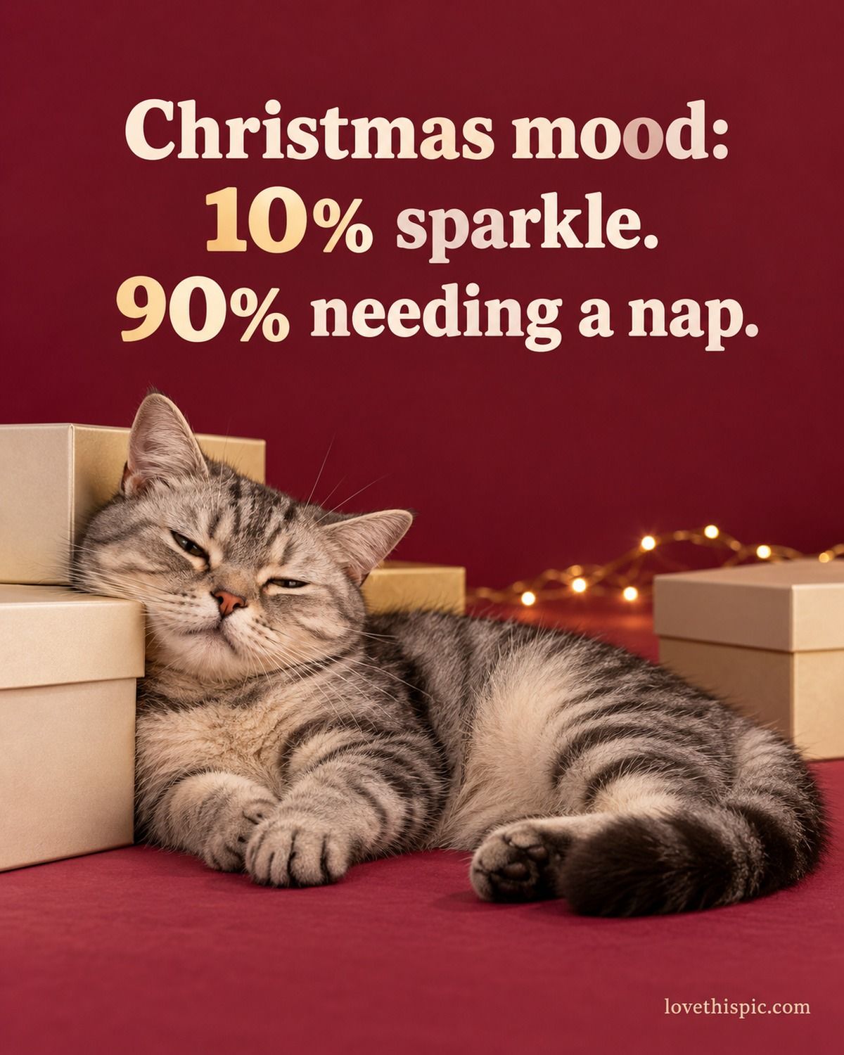 Christmas Mood 10 Percent Sparkle 90 Percent Needing A Nap Cat