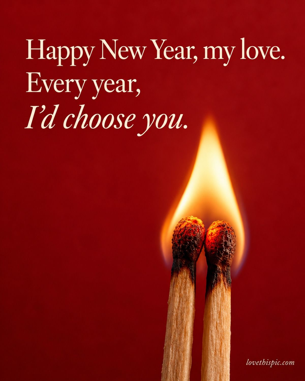 Happy New Year My Love Every Year I'd Choose You