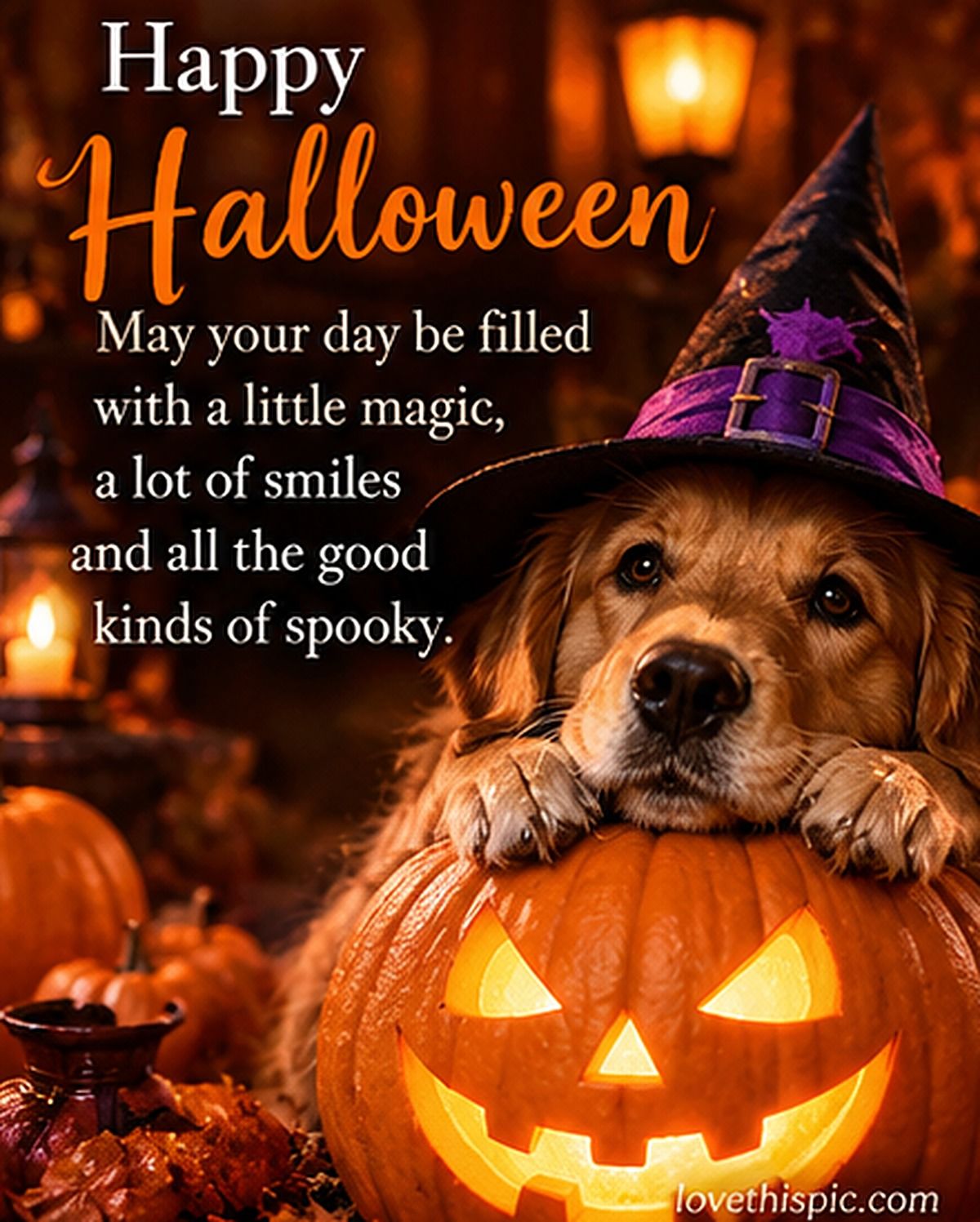 Happy Halloween Golden Retriever In A Witch Hat With A Glowing Jack O Lantern
