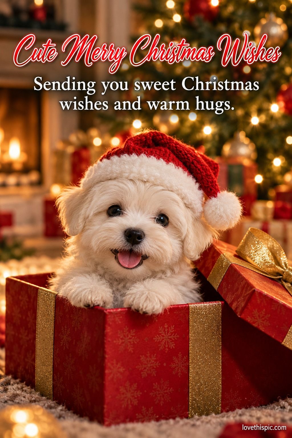 Cute Merry Christmas Wishes Sending Sweet Christmas Wishes And Warm Hugs Puppy In A Gift Box