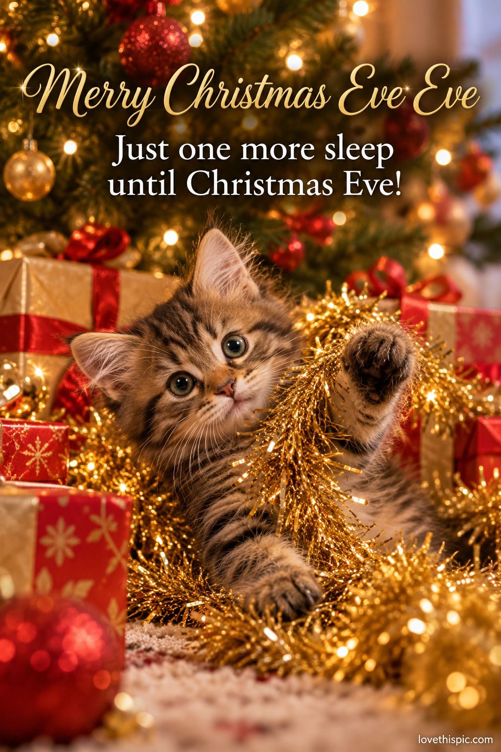 Merry Christmas Eve Eve Just One More Sleep Until Christmas Eve Kitten In Tinsel