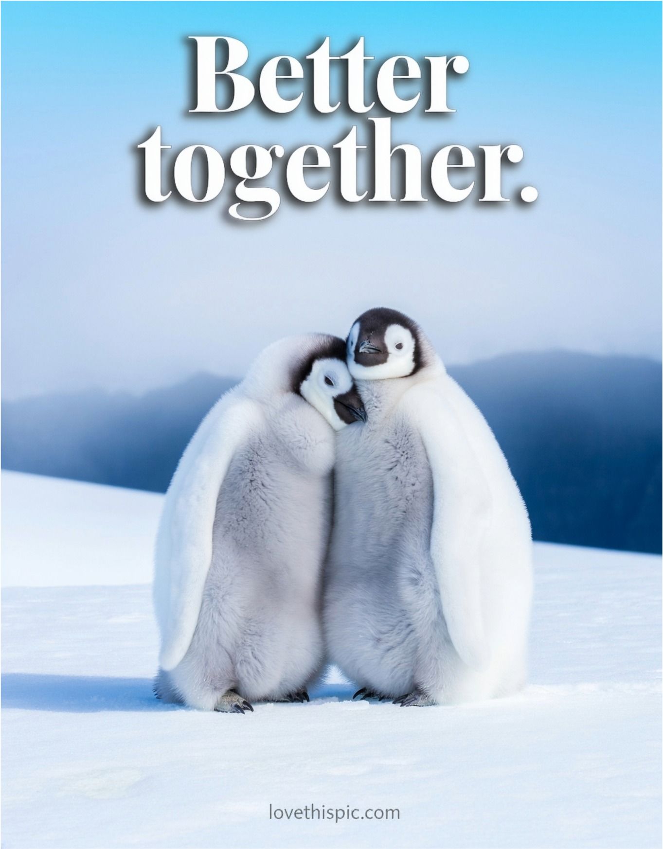 Better Together Baby Penguins Cuddling In The Snow