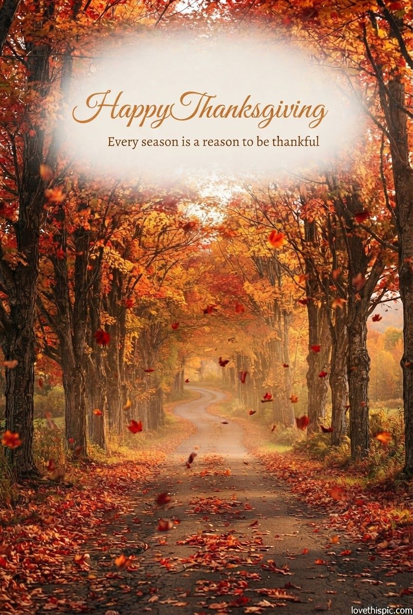 Happy Thanksgiving Every Season Is A Reason To Be Thankful