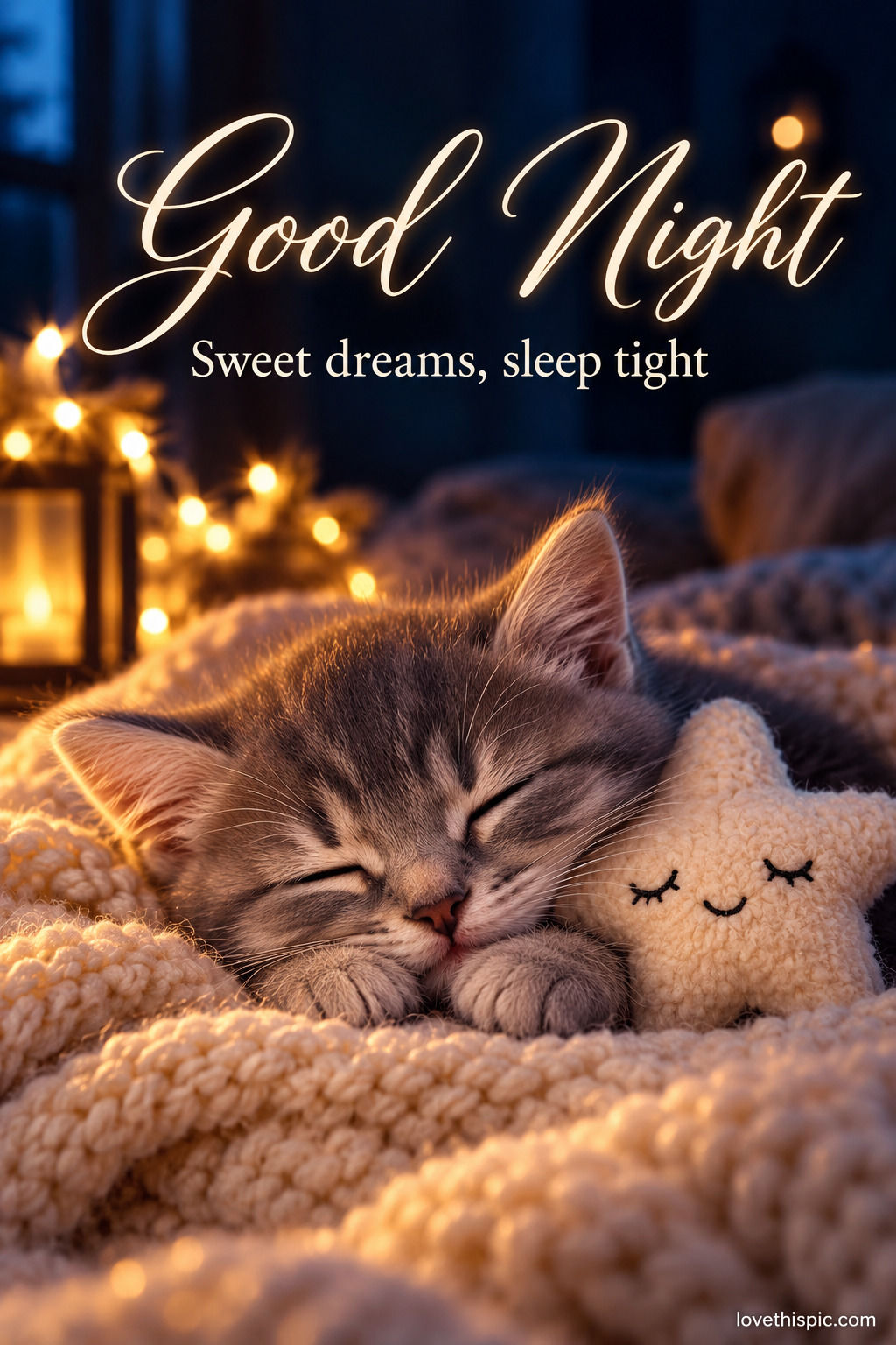 Good Night Sweet Dreams Sleep Tight Sleeping Kitten