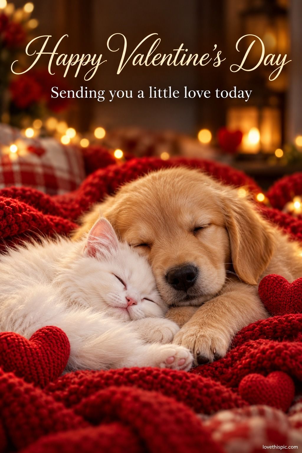 Happy Valentines Day Sending You A Little Love Today Puppy And Kitten