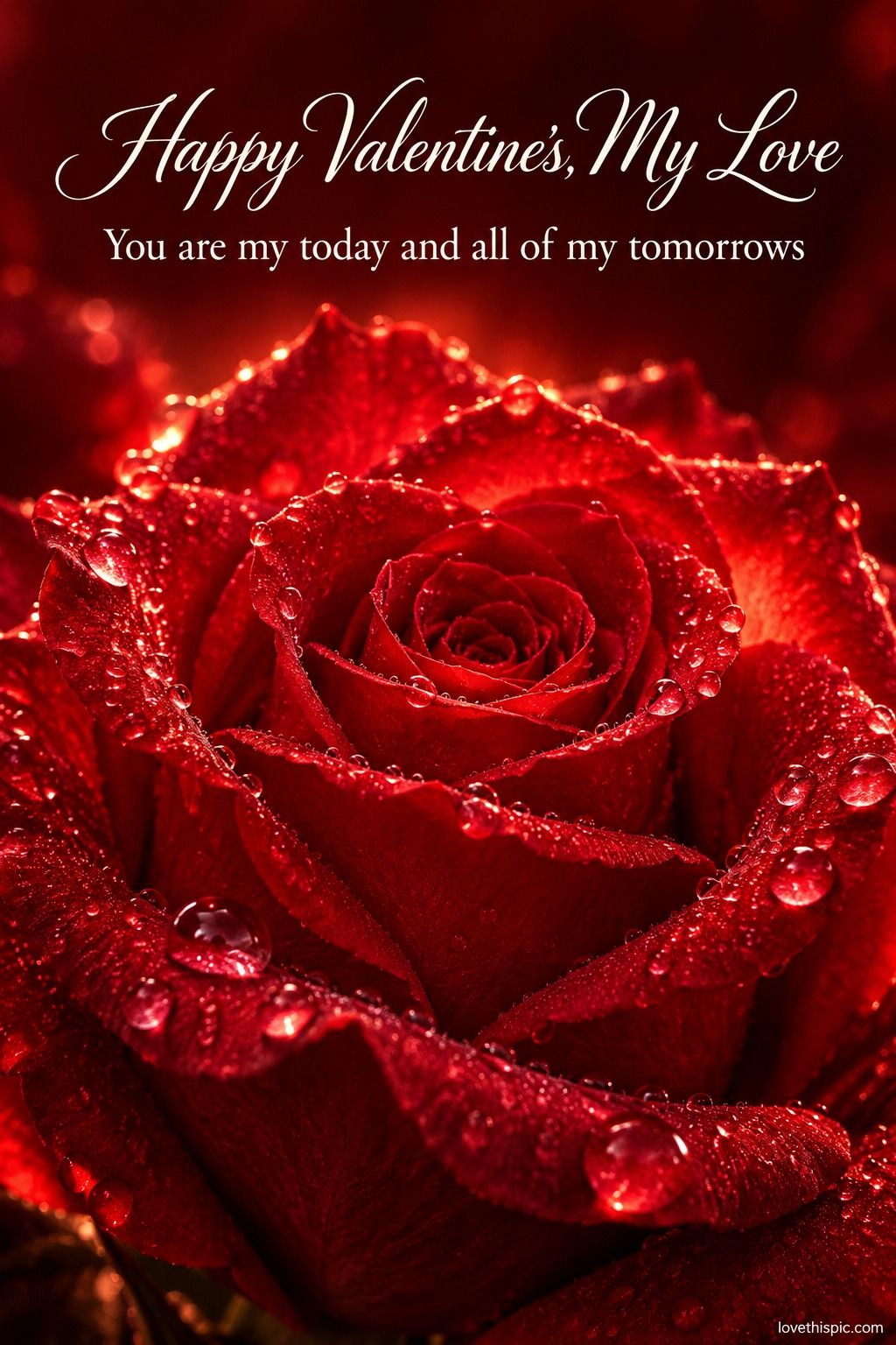 Happy Valentines My Love You Are My Today And All Of My Tomorrows