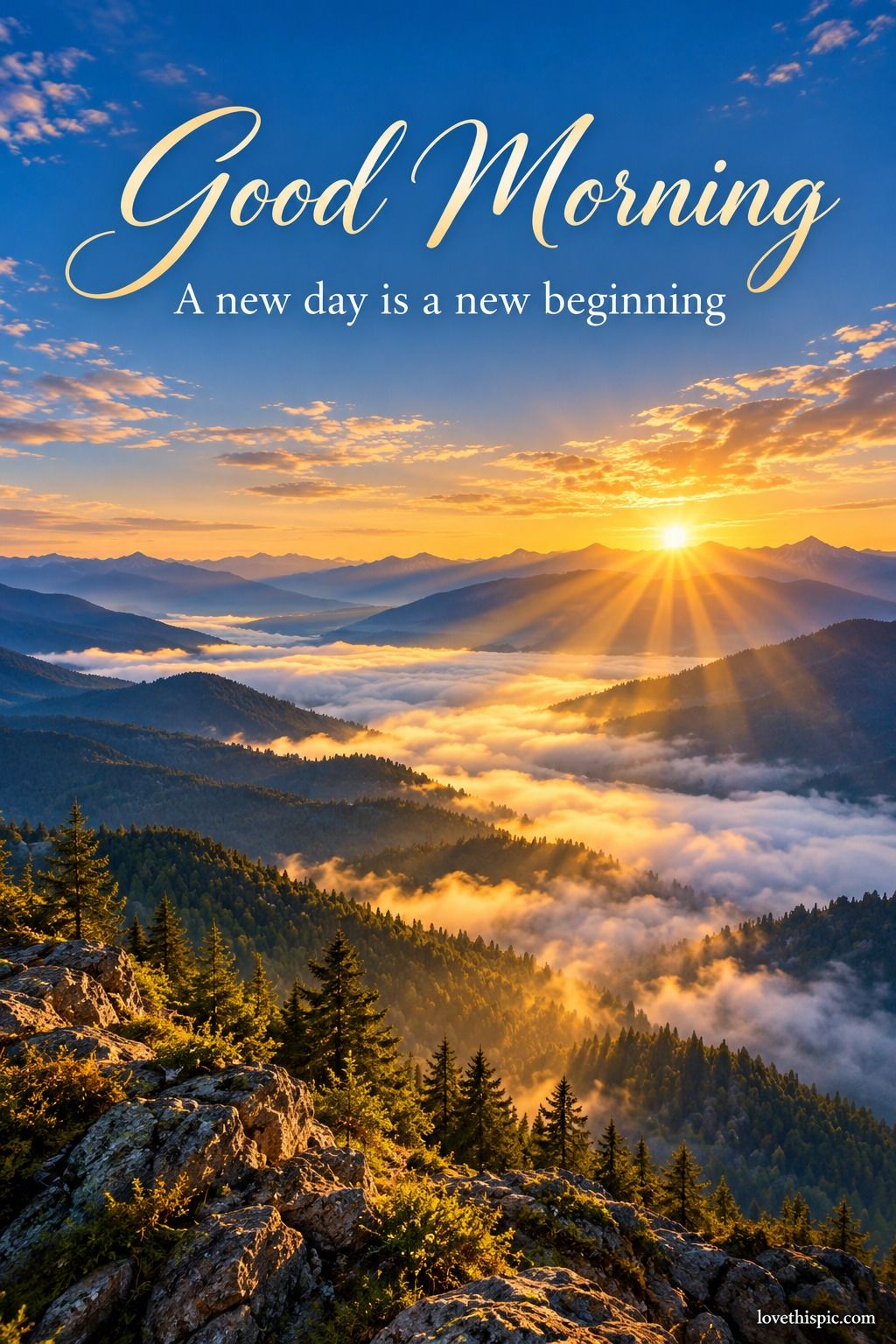 Good Morning A New Day Is A New Beginning