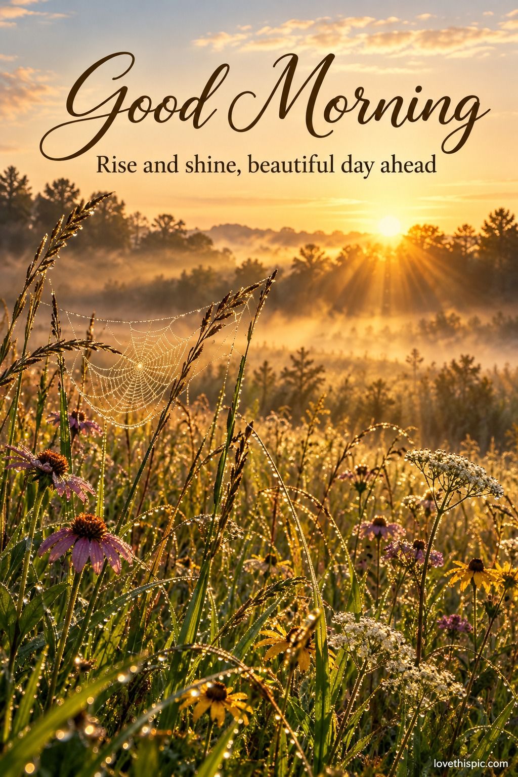 Good Morning Rise And Shine Beautiful Day Ahead