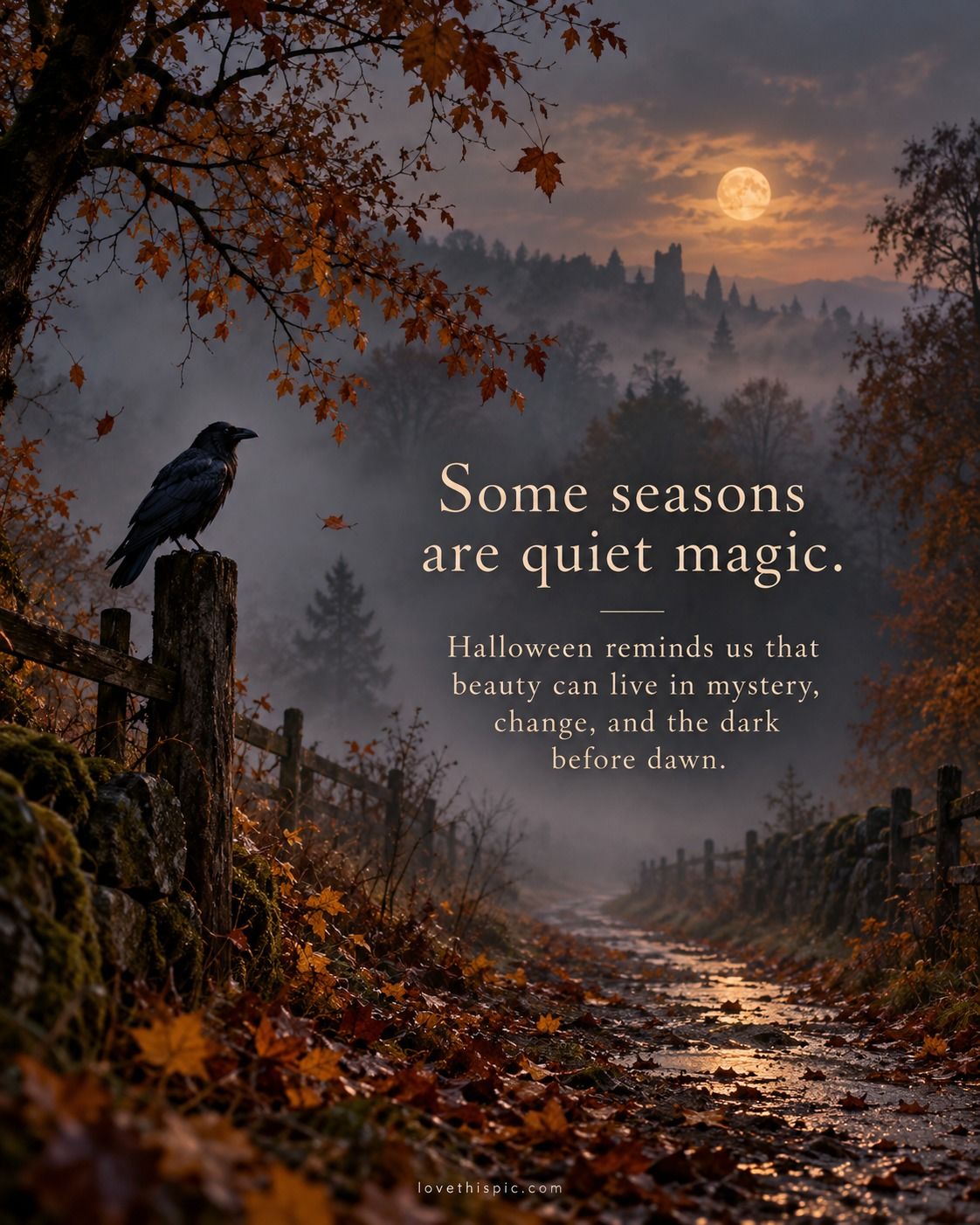Some Seasons Are Quiet Magic Halloween Reminds Us Beauty Can Live In Mystery