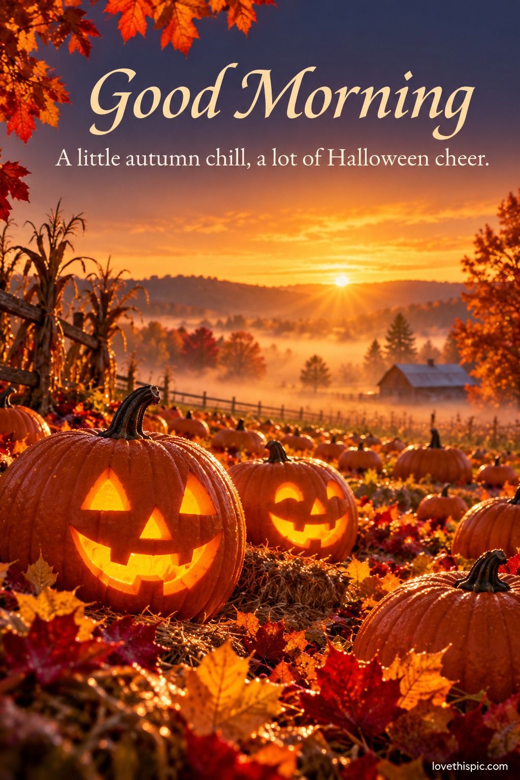 Good Morning A Little Autumn Chill A Lot Of Halloween Cheer
