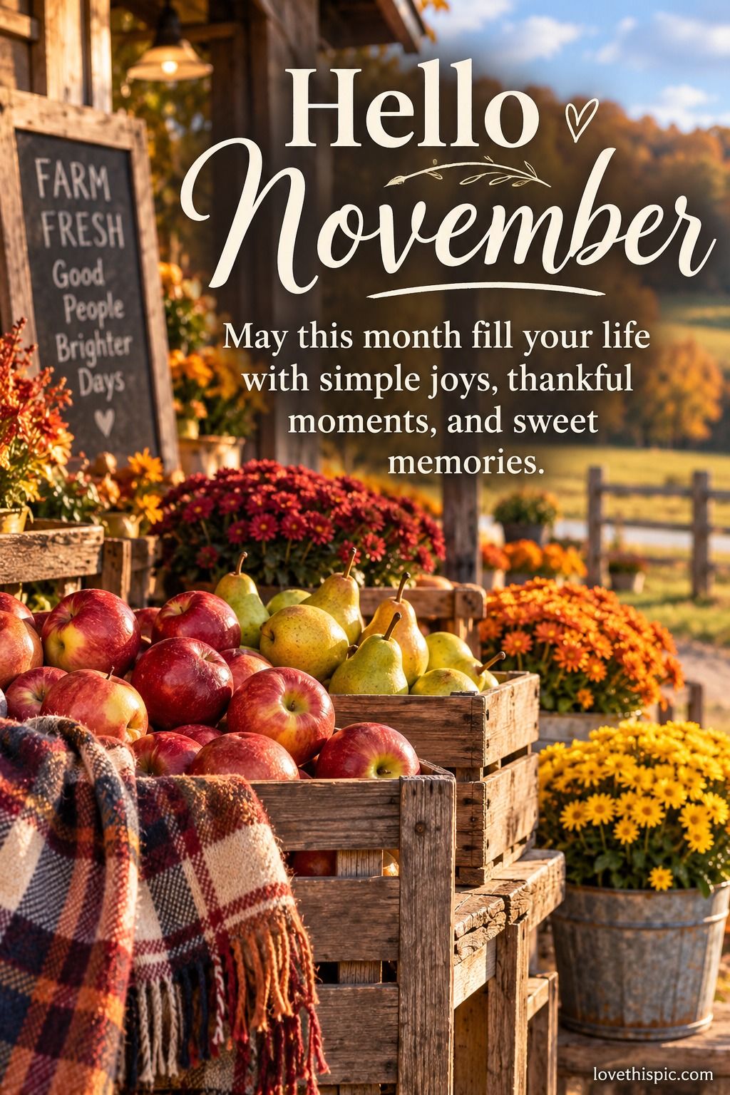 Hello November May This Month Fill Your Life With Simple Joys And Thankful Moments