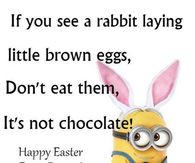 Minions, minions pictures, minion images,  funny quotes,  funny, funny minions, minions quotes, minion quotes