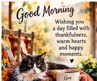 Good Morning Give Thanks Thanksgiving Cat And Coffee