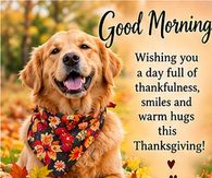 Good Morning Thanksgiving Dog Thankfulness Smiles And Warm Hugs