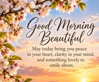 Good Morning Beautiful May Today Bring You Peace In Your Heart