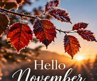 Hello November Frosted Autumn Leaves At Sunrise