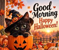 Good Morning Happy Halloween Black Kitten In A Pumpkin Mug