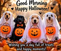 Good Morning Happy Halloween Dogs In Ghost Costumes Wishing You Treats