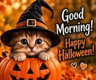 Good Morning Happy Halloween Tabby Kitten In A Witch Hat