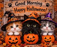 Good Morning Happy Halloween Three Kittens In Witch Hats