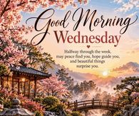 Good Morning Wednesday Halfway Through The Week Gif