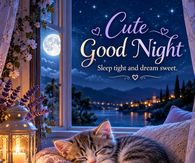 Cute Good Night Sleep Tight And Dream Sweet Sleeping Kitten