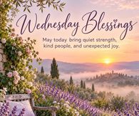 Wednesday Blessings May Today Bring Quiet Strength And Unexpected Joy