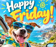 Happy Friday Weekend Mode Officially Loading Dog In Sunglasses
