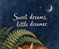 Sweet Dreams Little Dreamer Sleeping Fox Under The Moon