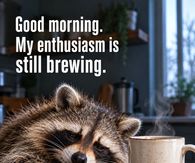 Good Morning My Enthusiasm Is Still Brewing Raccoon With Coffee