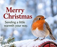 Merry Christmas Sending A Little Warmth Your Way Robin On A Mailbox