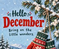 Hello December Bring On The Little Wonders Winter Mittens