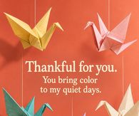 Thankful For You You Bring Color To My Quiet Days Origami Cranes