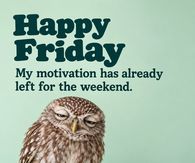 Happy Friday My Motivation Has Already Left For The Weekend Sleepy Owl