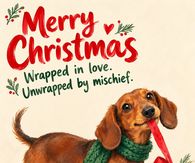 Merry Christmas Wrapped In Love Unwrapped By Mischief Dachshund
